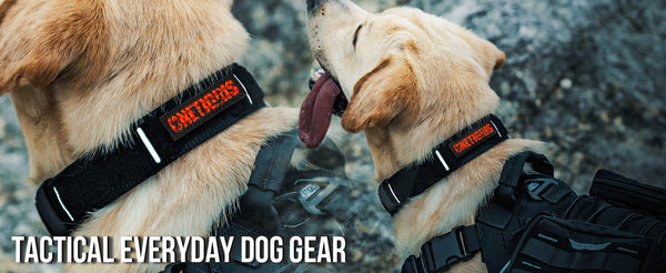ONETIGRIS - X11 Dog Collar