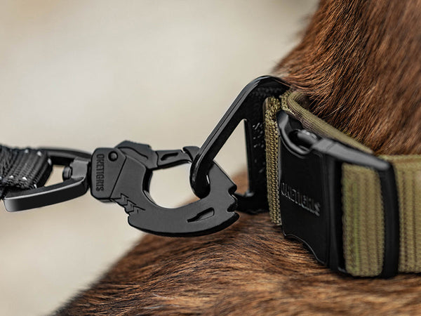 Onetigris X11 Dog Collar