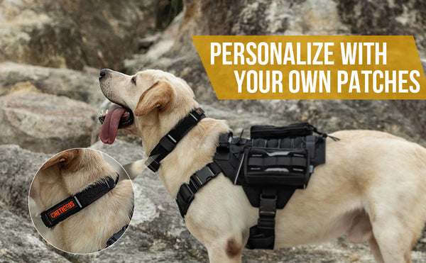 Onetigris X11 Dog Collar