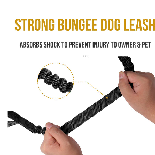 ONETIGRIS - Dog Leash | 110