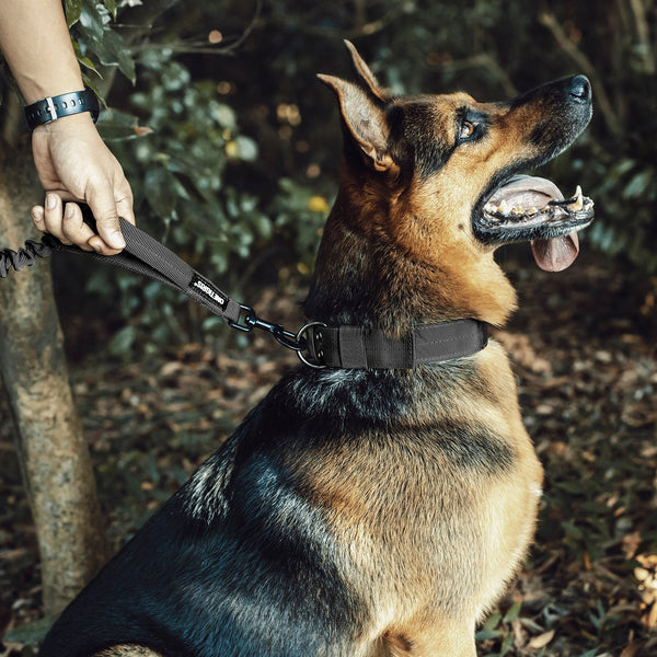 ONETIGRIS - Dog Leash | 110