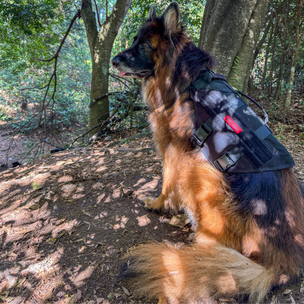 ONETIGRIS - AIRE Mesh Dog Harness