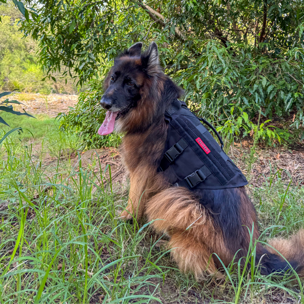 ONETIGRIS - AIRE Mesh Dog Harness