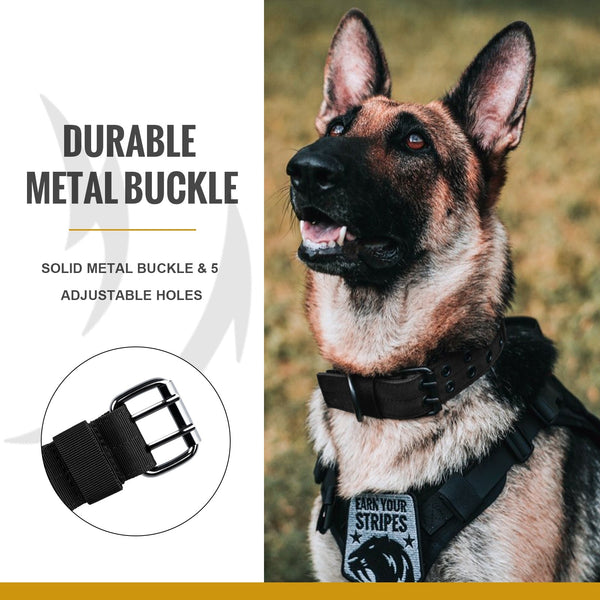 Onetigris Dog Collar 02