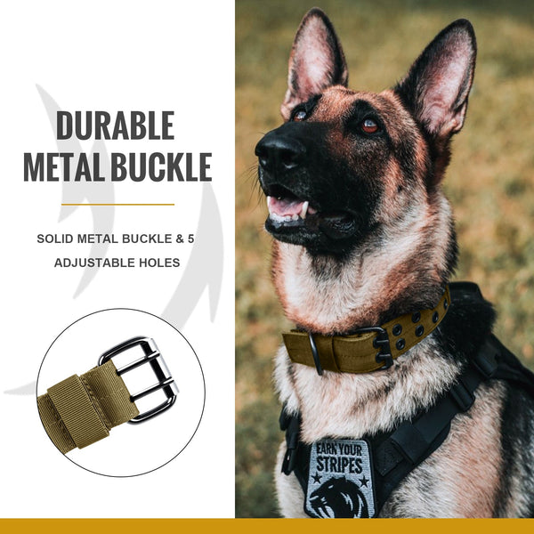 Onetigris Dog Collar 02