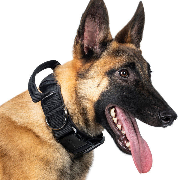 ONETIGRIS - Dog Collar 08