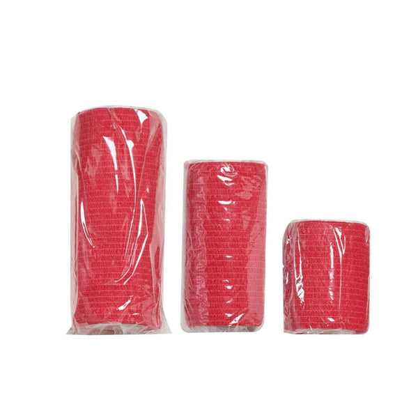 Survival - Pet First Aid Kit