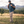 5.11 Apex Pants | Khaki
