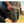 5.11 Tactical Dart Shorts-Casual Shorts-5.11 Tactical-TacSource
