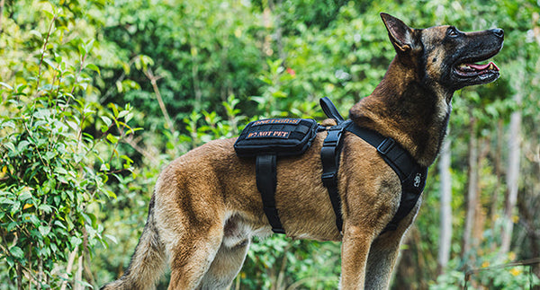 Onetigris Guardian Dog Harness Set