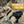 ONETIGRIS - X11 Dog Collar