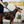 ONETIGRIS - Bolt Short Dog Leash