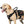 Onetigris Guardian Dog Harness Set