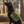 ONETIGRIS - Hoppy Camper Dog | Pack 3.0