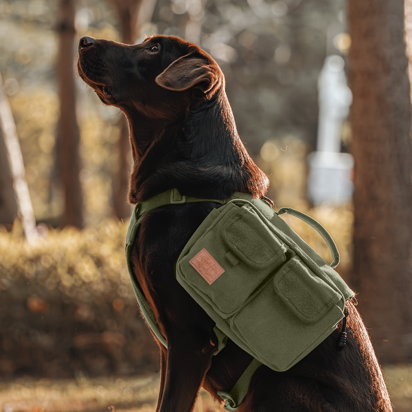 Onetigris Hoppy Camper Dog Pack 3.0