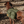 ONETIGRIS - Hoppy Camper Dog | Pack 3.0