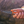 Leatherman WAVE Alpha