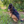 ONETIGRIS - AIRE Mesh Dog Harness