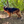 ONETIGRIS - AIRE Mesh Dog Harness