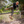 Reebok - Trailgrip Tactical | 8