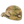 VIKTOS Notch Shield Hat – Multicam